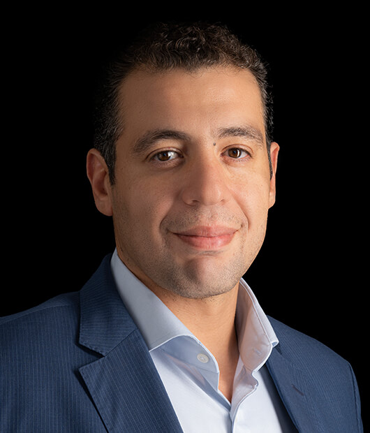 Mahmoud S. Bassiouny